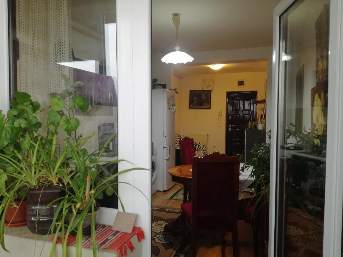 Apartament 2Camere - Prima Casa Floresti  Ngoại thất bức ảnh